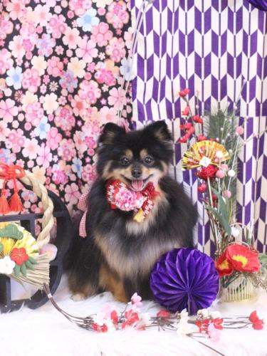 20250131アンバーちゃん